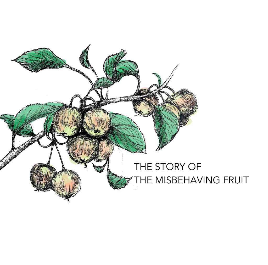 The Story of the Misbehaving Fruit